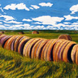Hay Roll (11 x 16)