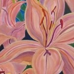 Lillies and Beetles, 2010